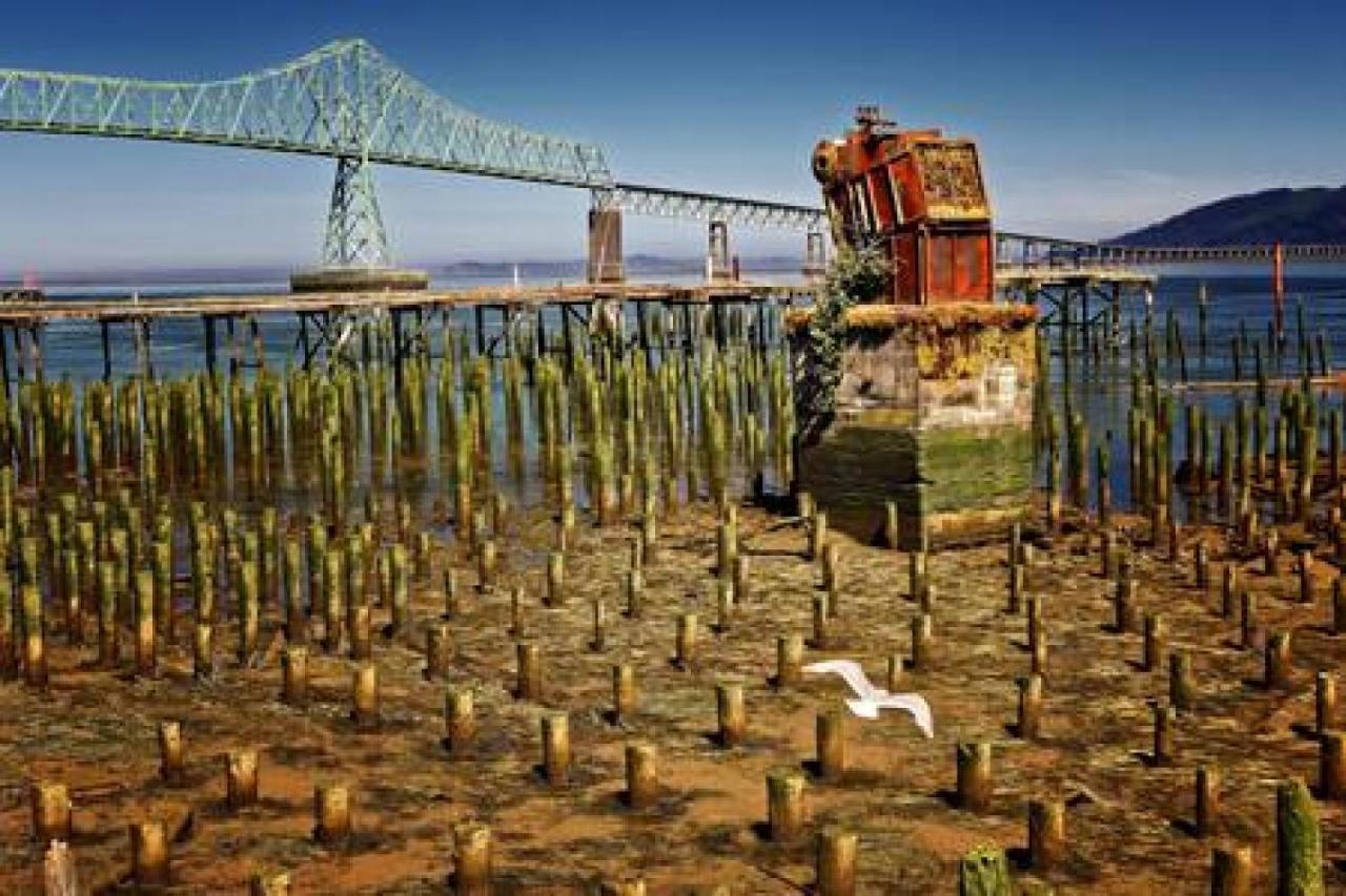 Historic Waterfront Views & Vintage Vibes Apartment Astoria
